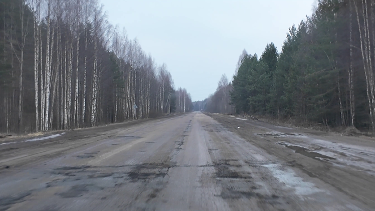 Начинается бездорожье