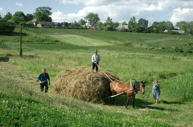   Игорь Самохвалов/ПГ
