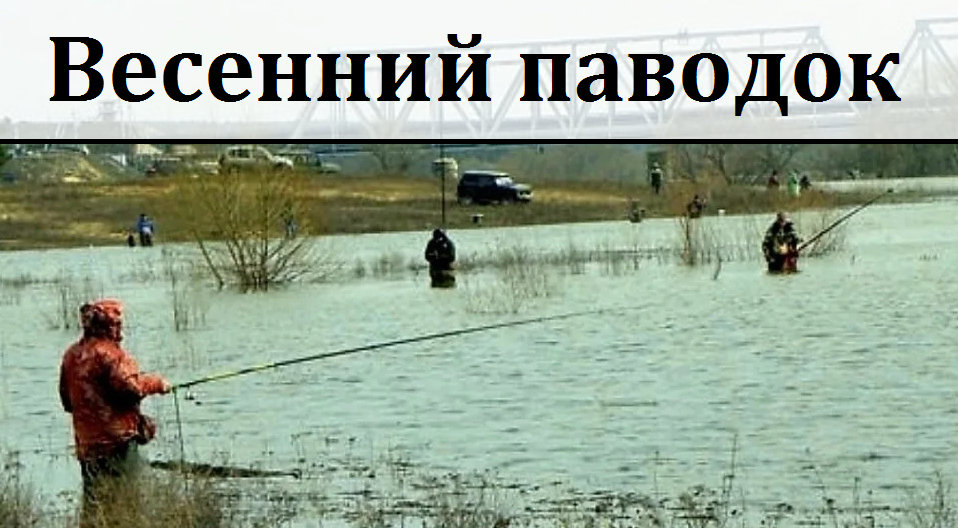 весенний паводок, рыбалка весной, клев рыбы весной, влияние паводка на клев, ловля рыбы в половодье, рыбалка в паводок на реке, где искать рыбу весной, 