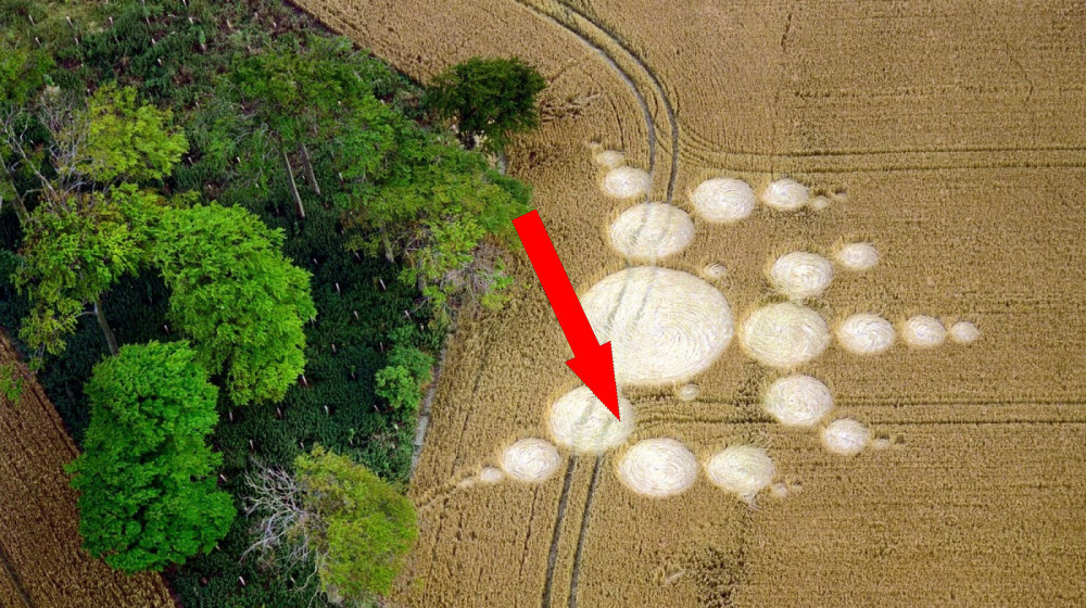    Тайна кругов на полях разгадана или это все еще загадка