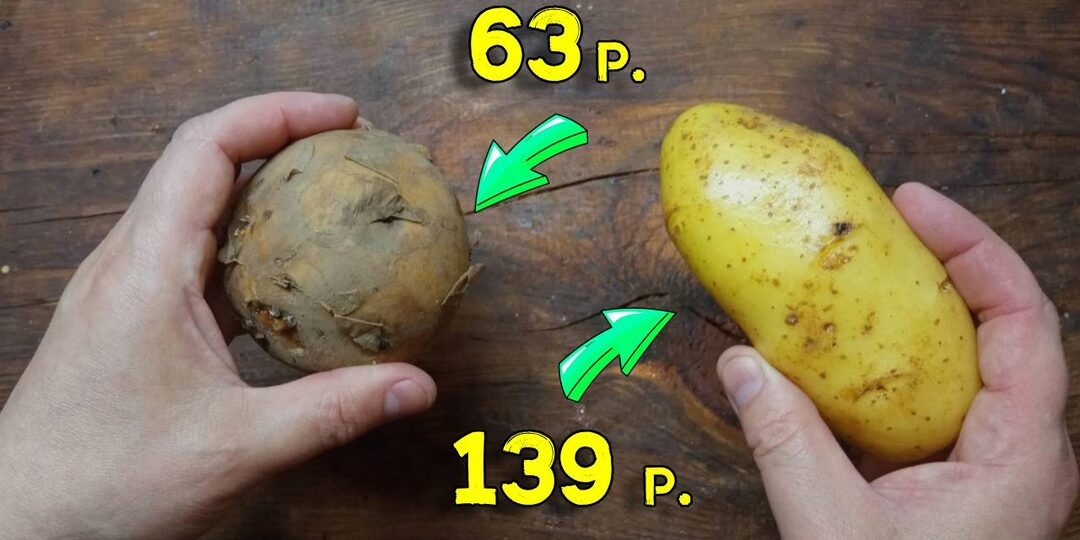 Фермер не выдержал и сказал правду, почему картошка подорожала в 5 раз. Дело не только в погоде