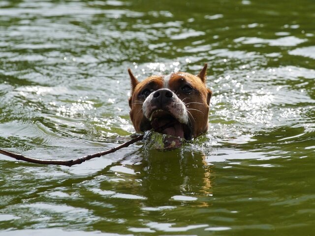    Фото: Агентство "Москва"/Александр Авилов