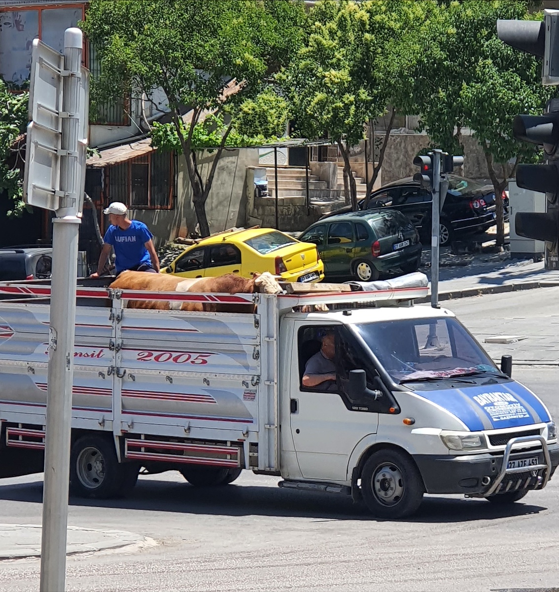 Вот такие машины сегодня ездят по городу