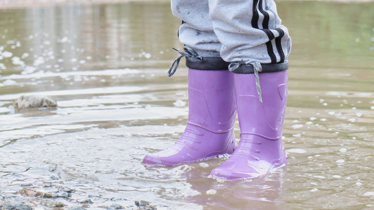    Фото: TShaKopy/Shutterstock/Fotodom