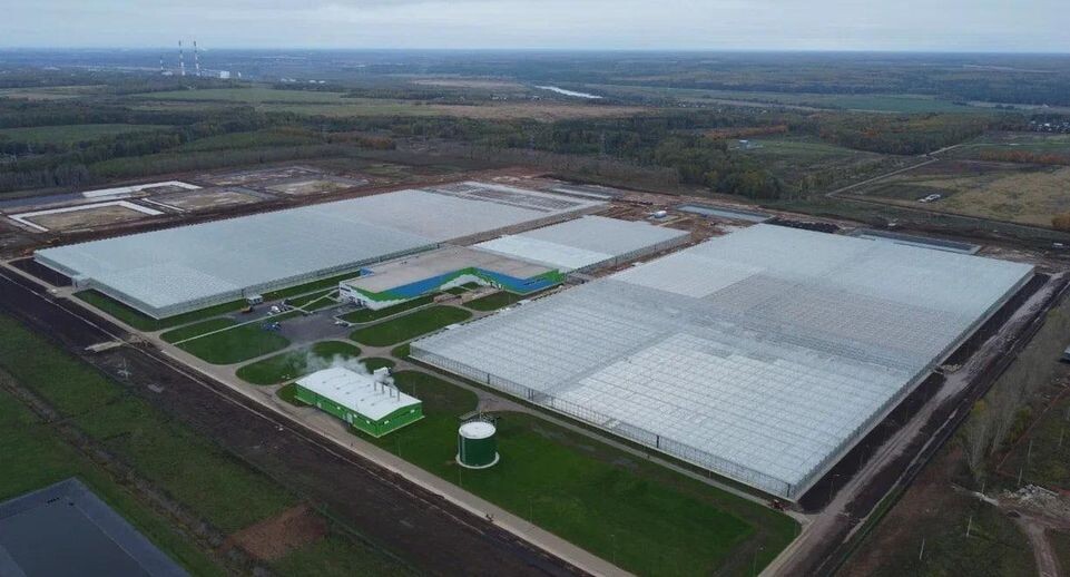    На фото ОЭЗ «Кашира» / Министерство инвестиций, промышленности и науки Московской области