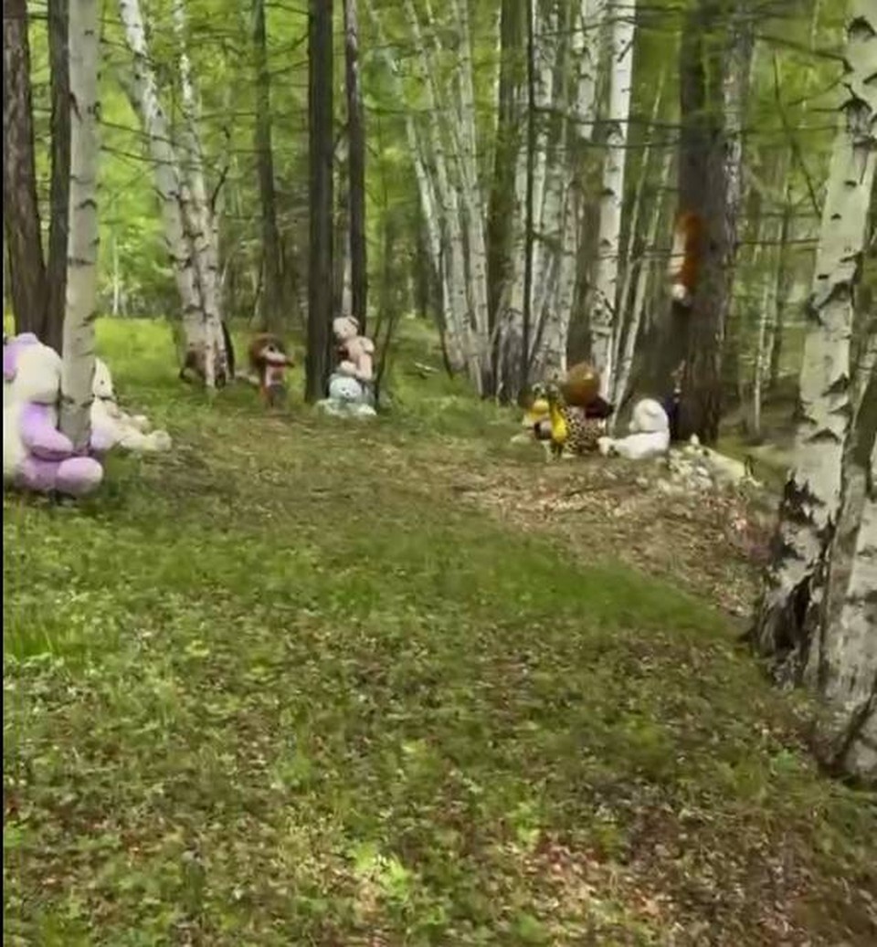    Только Виктор только вышел из машины, как его внимание привлекли те самые плюшевые игрушки. Фото: Виктор Войтик.