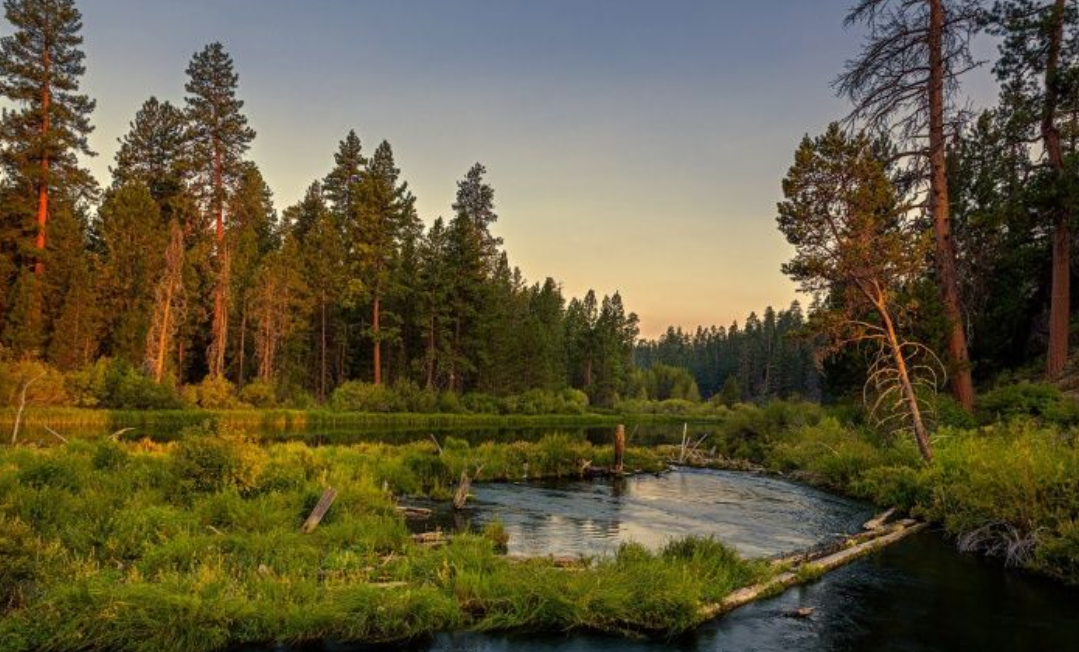 Фото носит иллюстративный характер: открытые источники