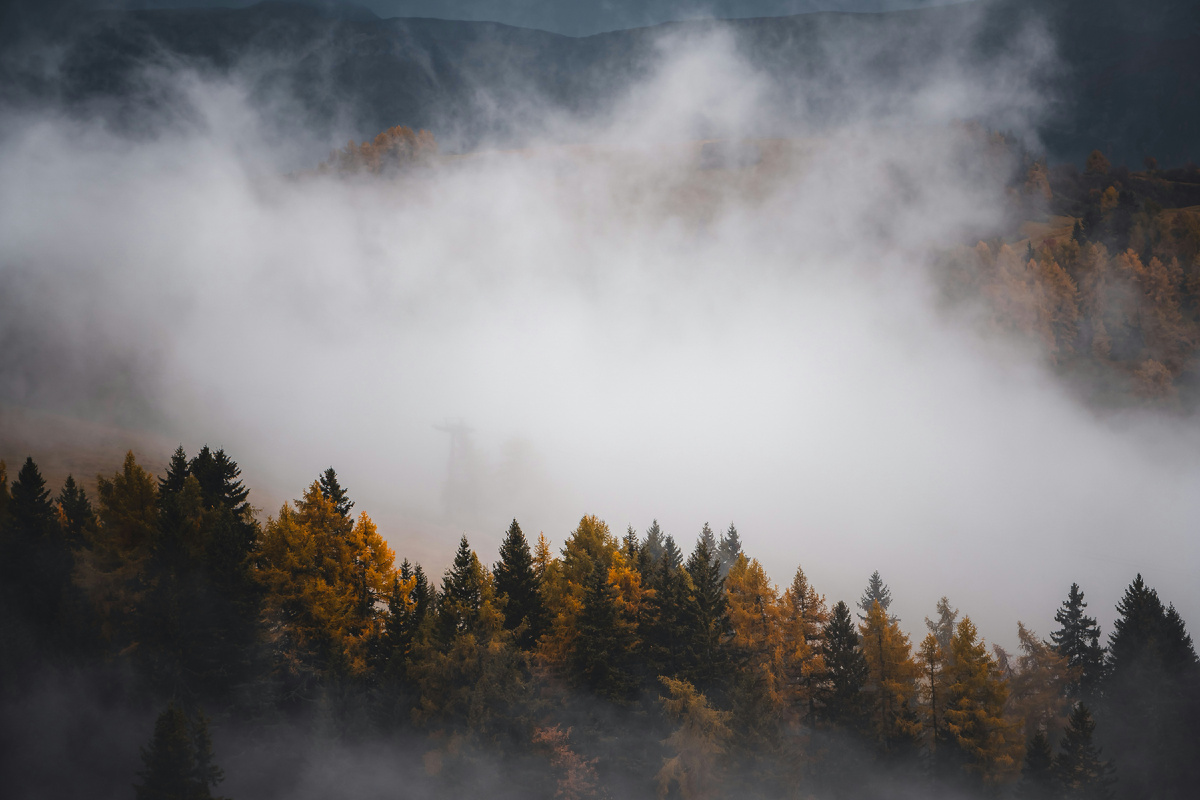 Картинка с бесплатного фотостока https://unsplash.com, автор Willian Justen de Vasconcellos