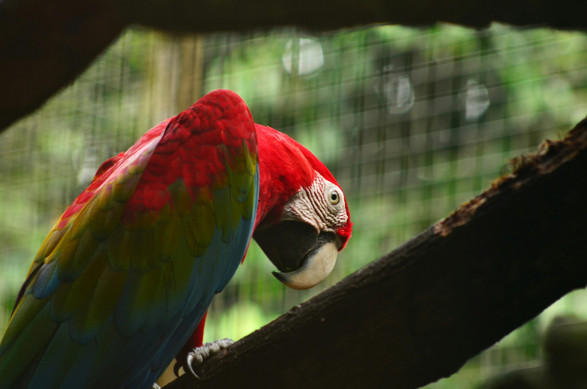 Картинка с бесплатного фотостока https://unsplash.com, автор Iqro Rinaldi