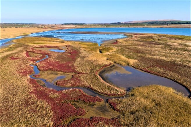    admkrai.krasnodar.ru