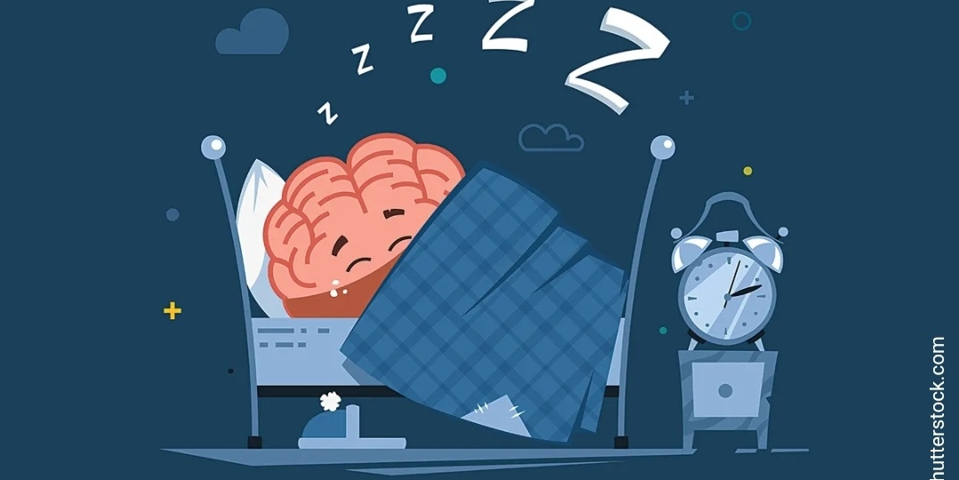 Зачем нам нужен сон: как он восстанавливает когнитивные функции