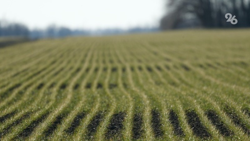      Фото: ИА «Победа26»