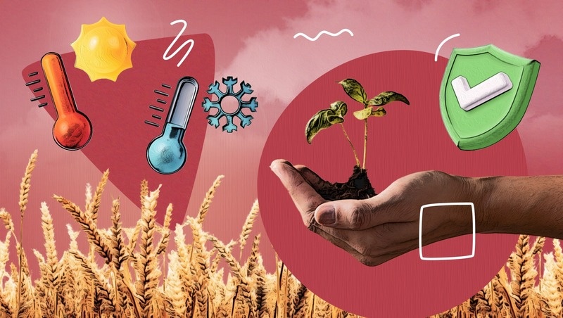      Фото: Антон Глушков / / ИА «Победа26»