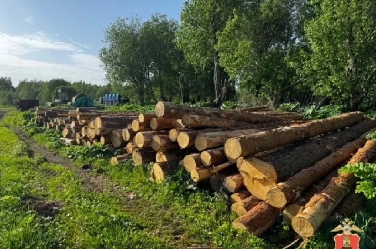    В Тверской области мужчина незаконно нарубил деревьев на 1 млн рублей
