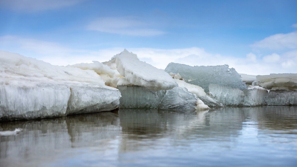    Фото: Фёдор Воронов / «Ямал-Медиа»