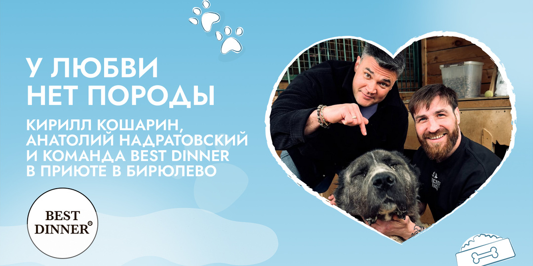 Кирилл Кошарин и Сибирский Конор посетили приют вместе с Best Dinner