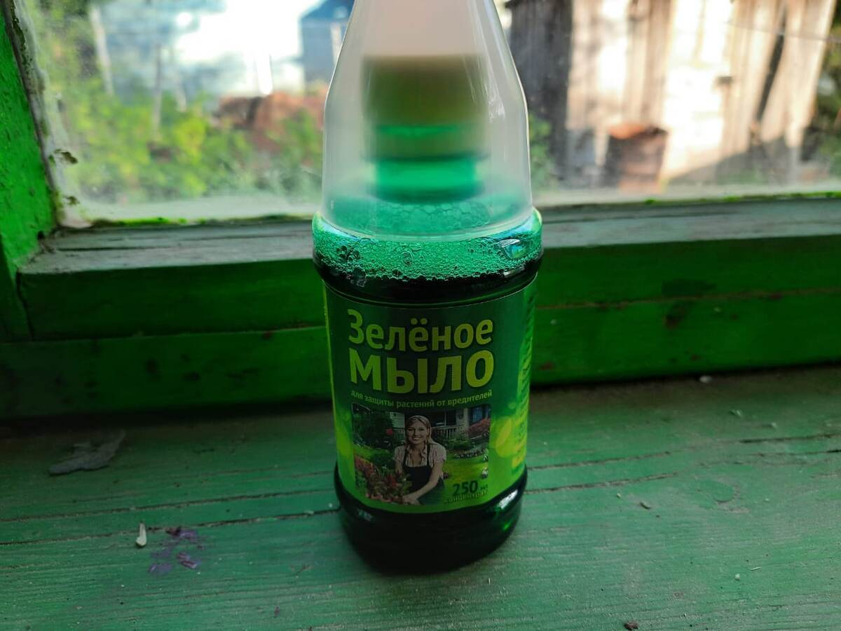 Зеленое мыло