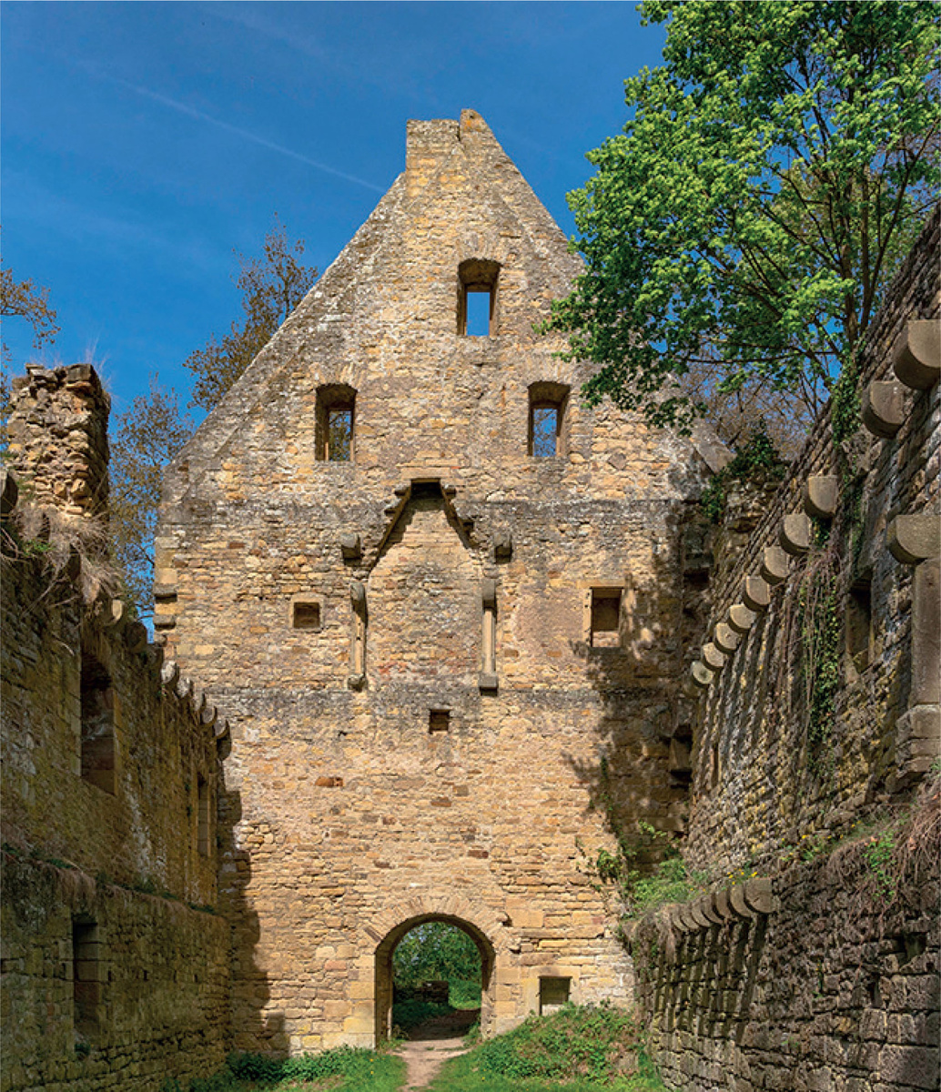 Хильдегарда начала свою жизнь религиозного поклонения в монастыре Дизибоденберг, когда ей было всего 14 лет. Она оставалась там в течение 40 лет.