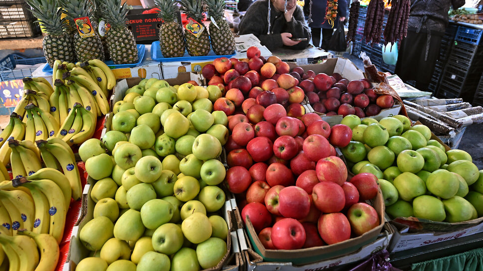 Фото: Анатолий Жданов / Коммерсантъ