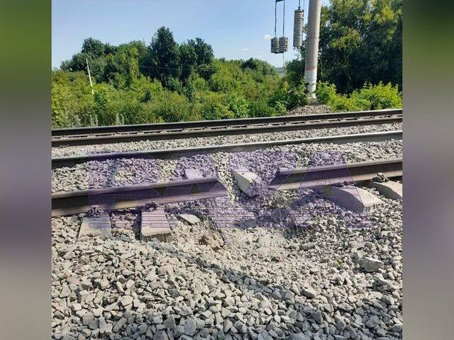    Фото: телеграм-канал Baza