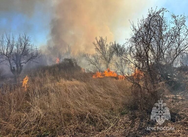    Фото: МЧС России Дмитрий Андреев