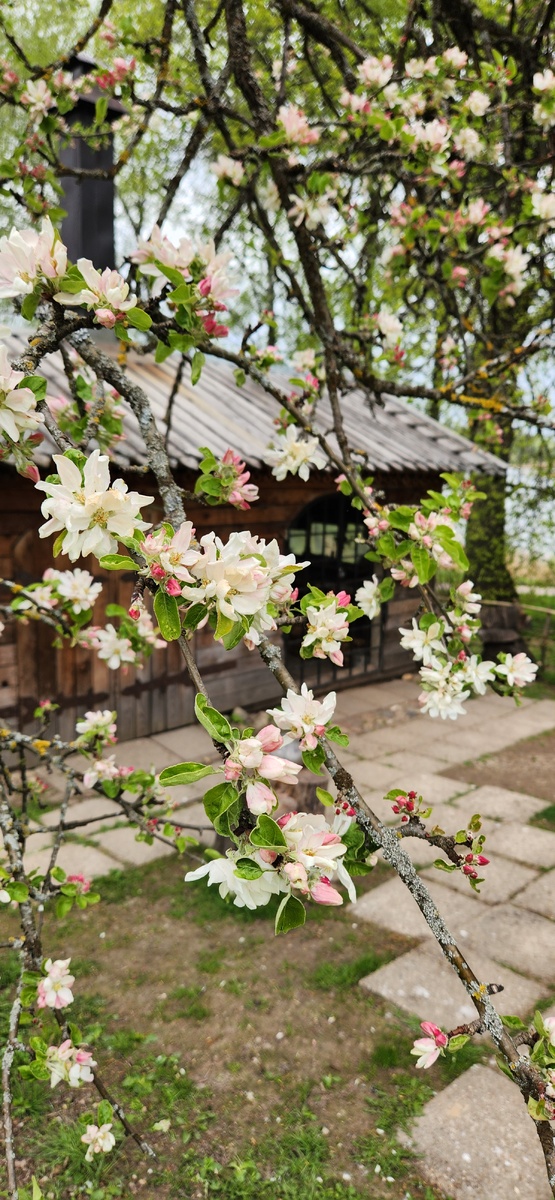 Усадьба Тенишевых, вид на кузницу