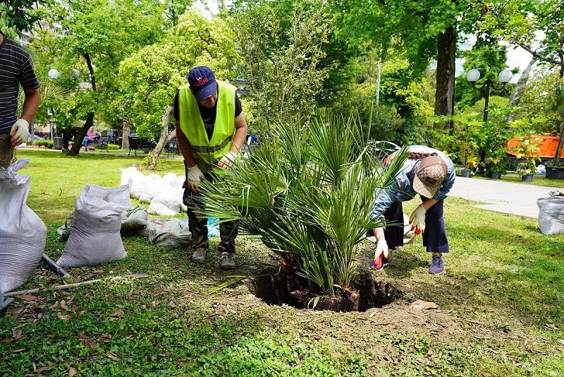    Фото: пресс-служба администрации Сочи