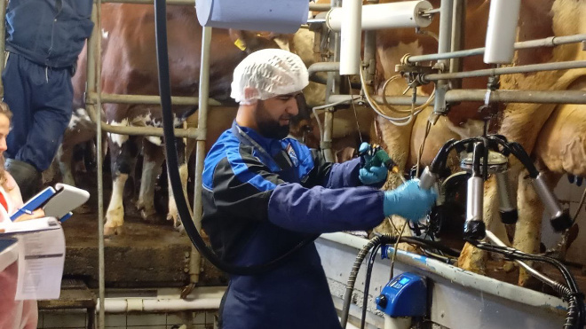 Фото: Комитет по АПК Ленинградской области