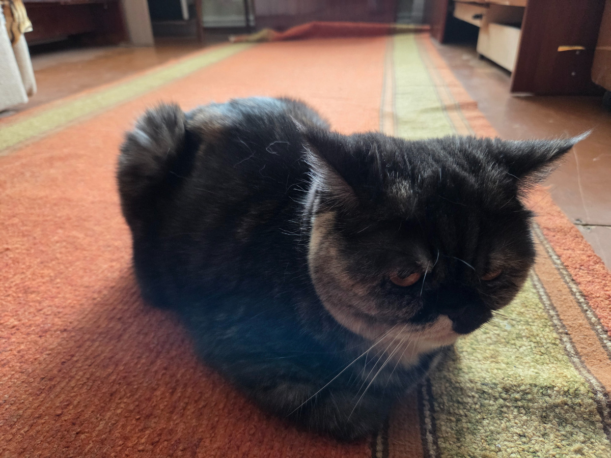 Забуханилась на полу