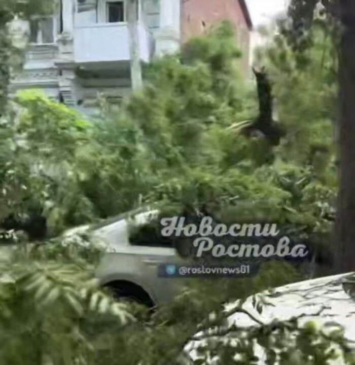 Источник фото: Телеграм-канал «Новости Ростова»