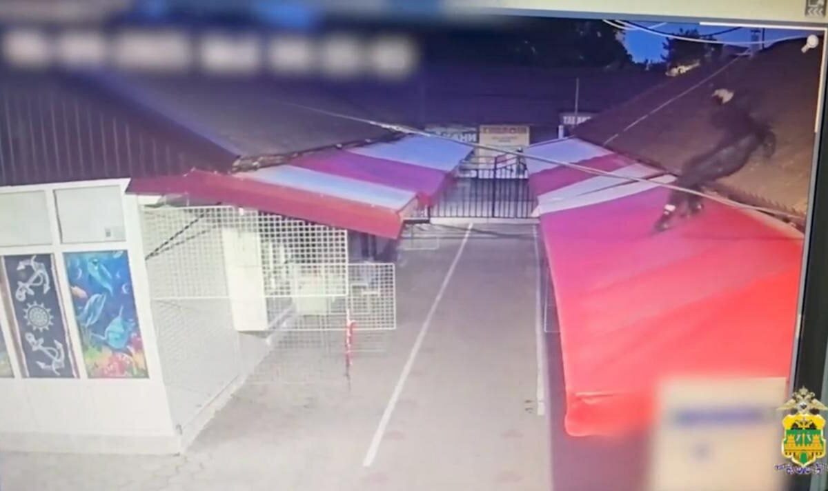    Фото t.me/mvd_23