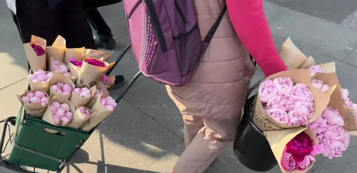    Фото: стоп-кадр видео от пресс-службы комитета по вопросам законности