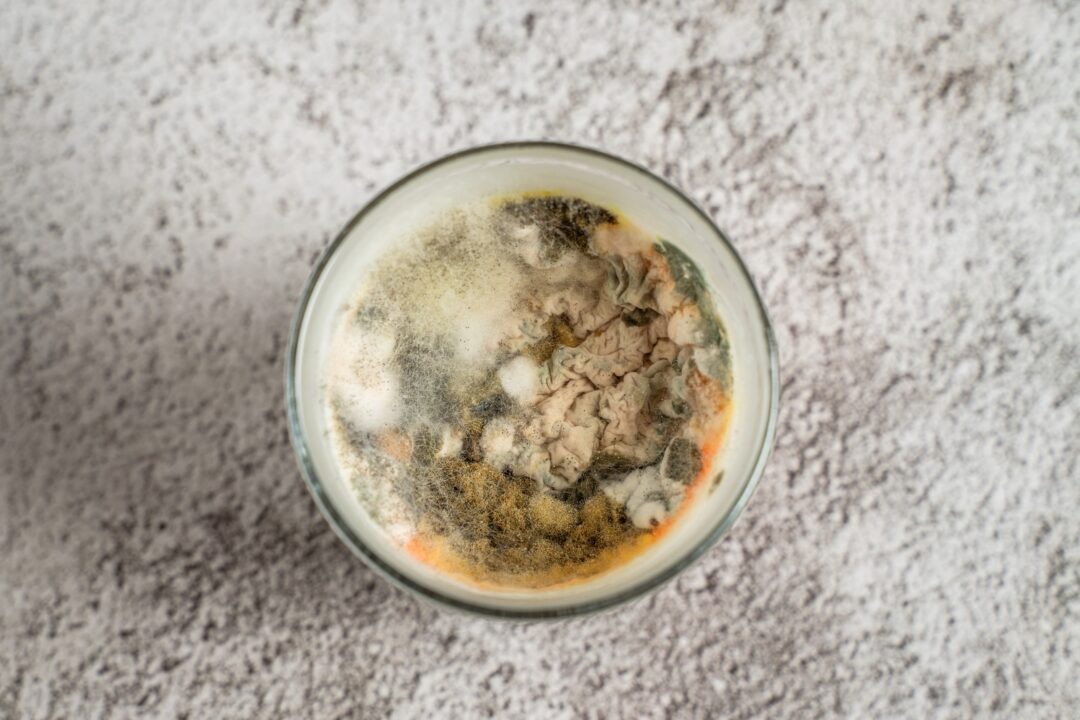 Фото: Александр Плонский / «Агроэксперт»