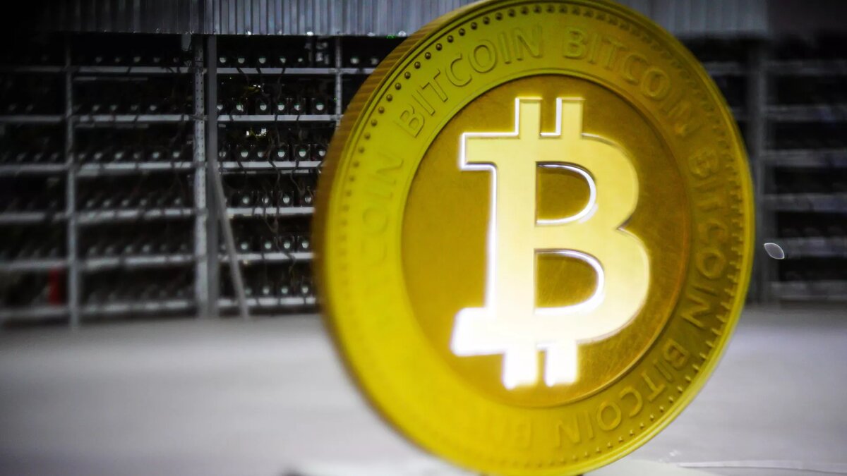 © Sputnik / Владимир Астапкович
