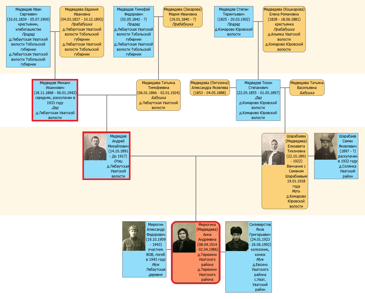 Фрагмент родословного древа Медведевой Анны Андреевны