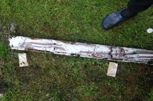    Дачники приманивают вредителей на кефир Фото: АиФ-Псков