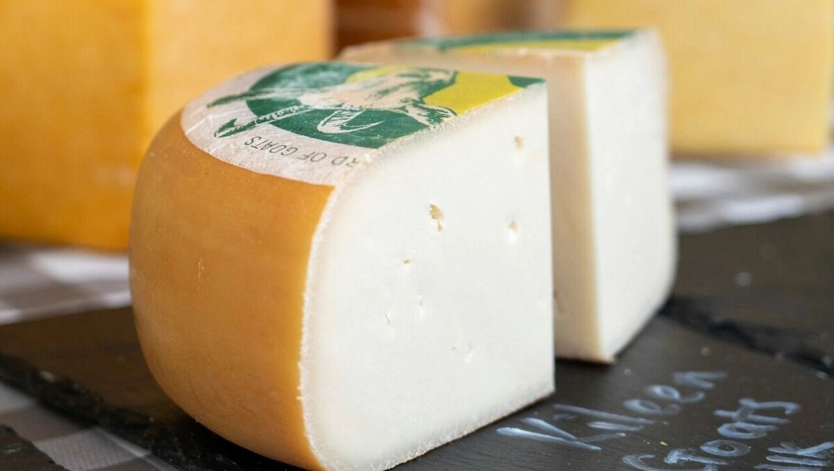     Автор: Unsplash