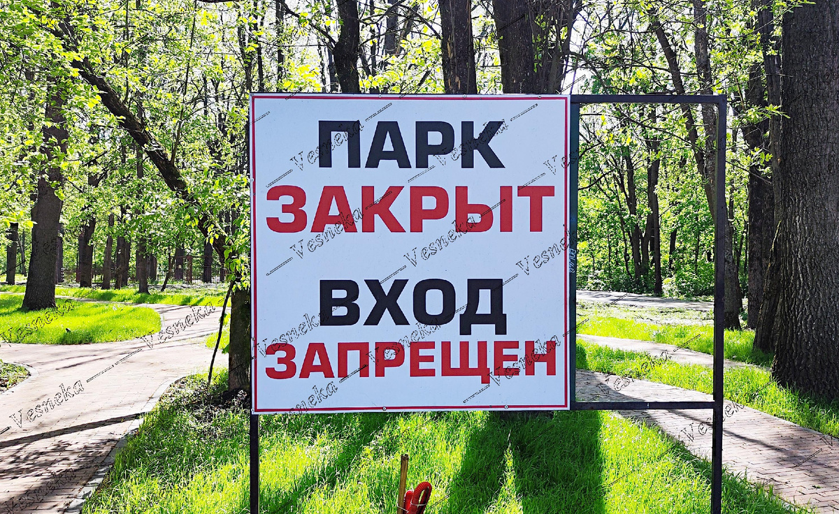 Фотог автора