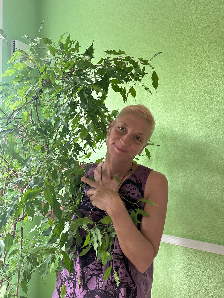 тот самый фикус бенджамина в спальне