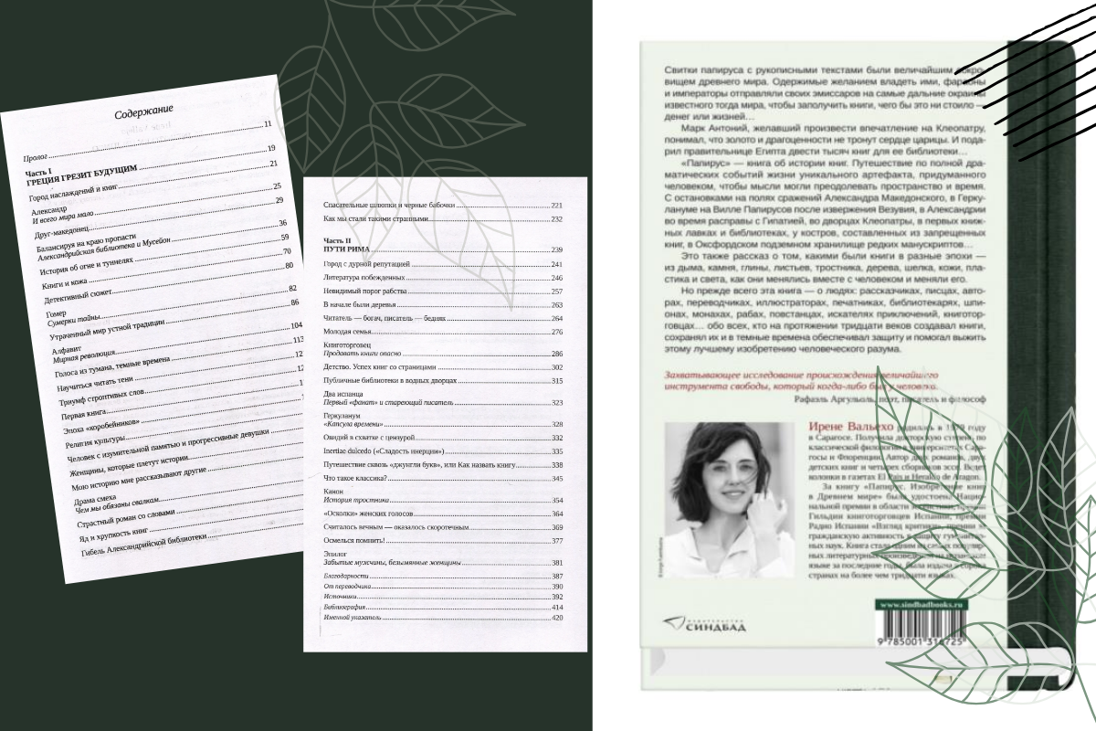 Фото/©Синдбад. Дизайн/©ГАБЕ