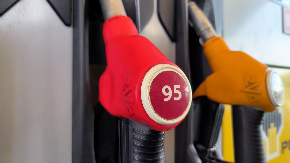    Фото: Maksim Konstantinov/globallookpress.com