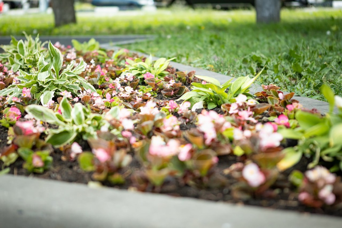 Фото: Рина Горлова