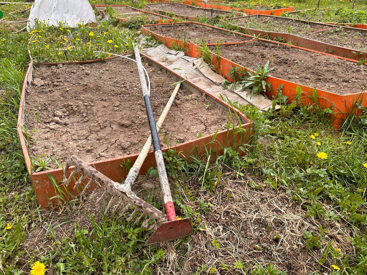 Глинистая почва