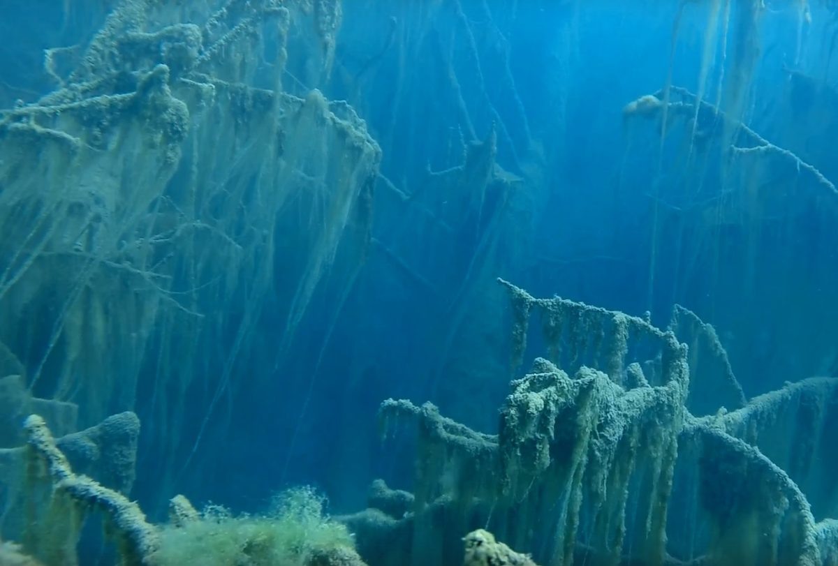    На кадрах показаны затонувшие деревья, которые напоминают сказочный лес