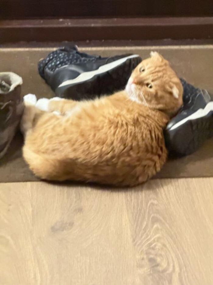 Источник фото: © «Панорама»