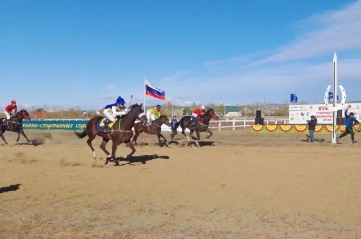    Конные скачки пройдут на выставке племенных овец в Чите