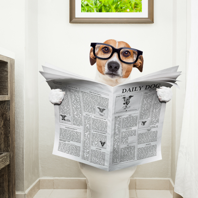 источник фото: https://i.pinimg.com/originals/4c/bc/93/4cbc93498f637b787d03c53d14a3689b.png