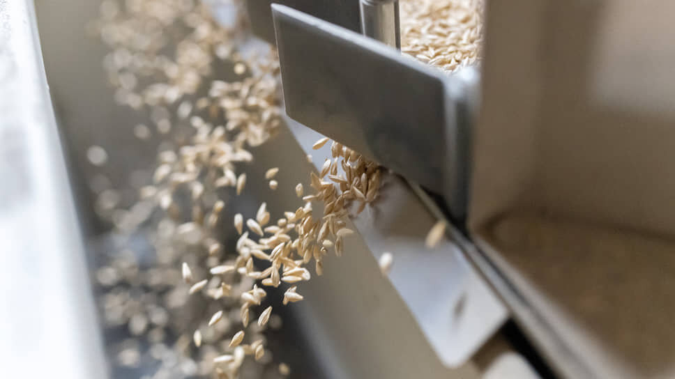 Фото: Игорь Елисеев / Коммерсантъ