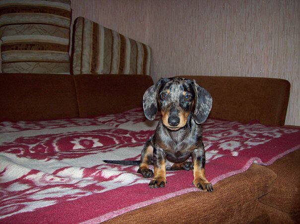 Фото предоставлены заказчиком