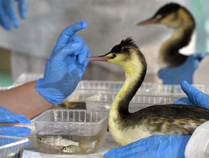    ФОТО: предоставлено банком ВТБ